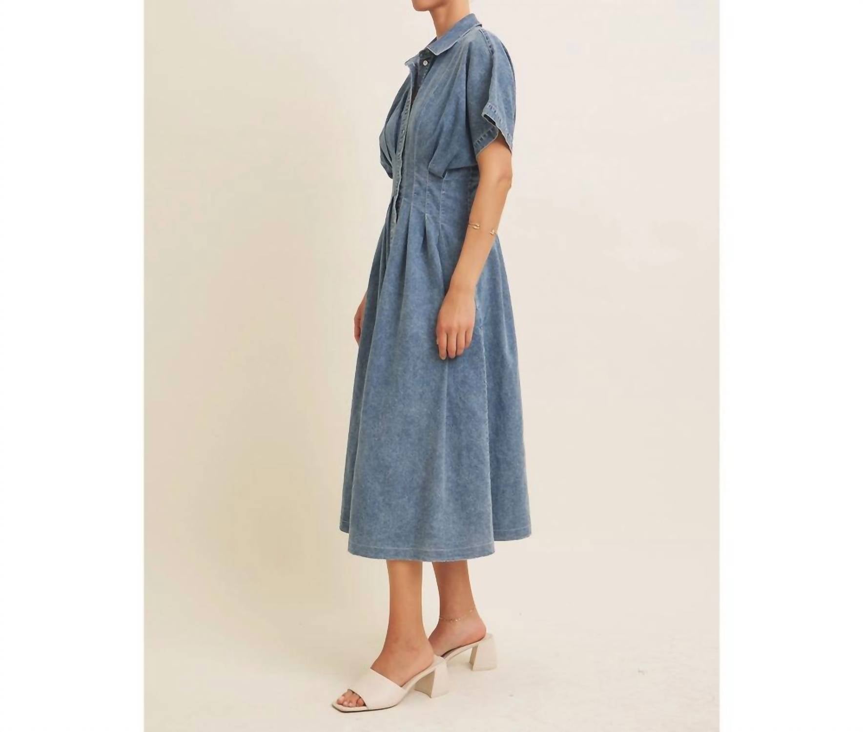In February - Button Down Pleated Midi Dress