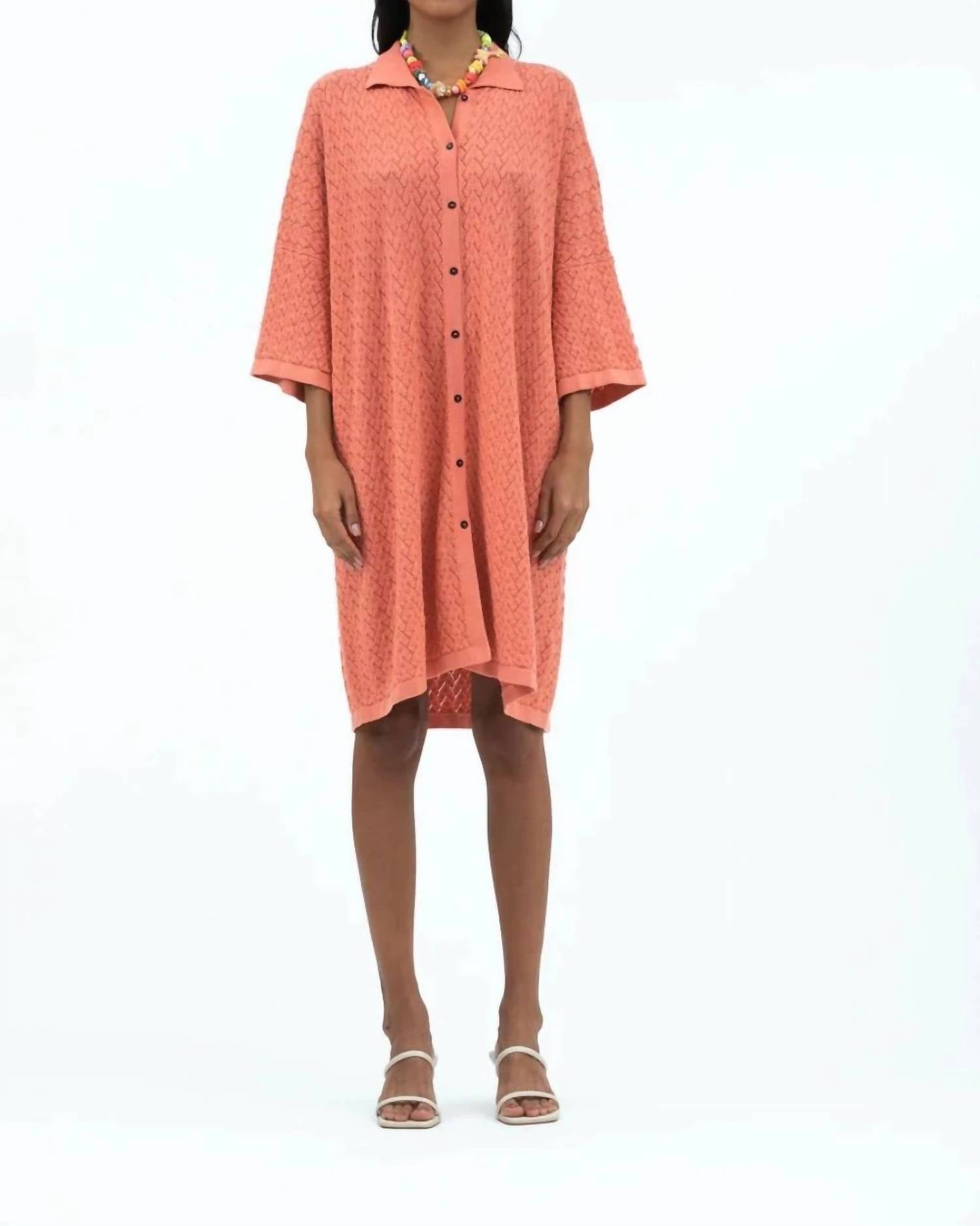 Mr Mittens - Lace Shirt Dress