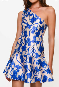 Hutch - Silas Mini Dress