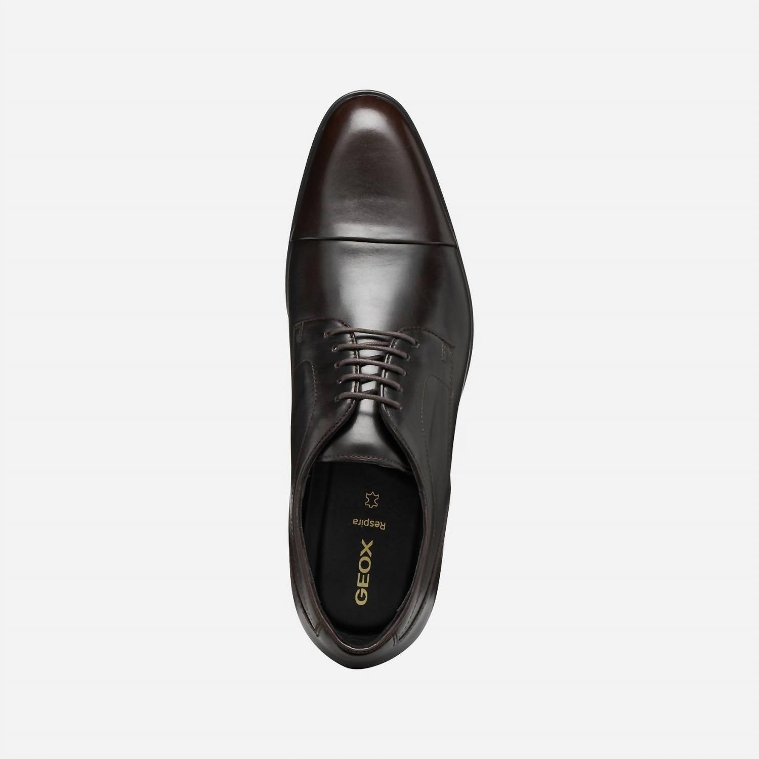 Geox - Men's Iacopo Shoe