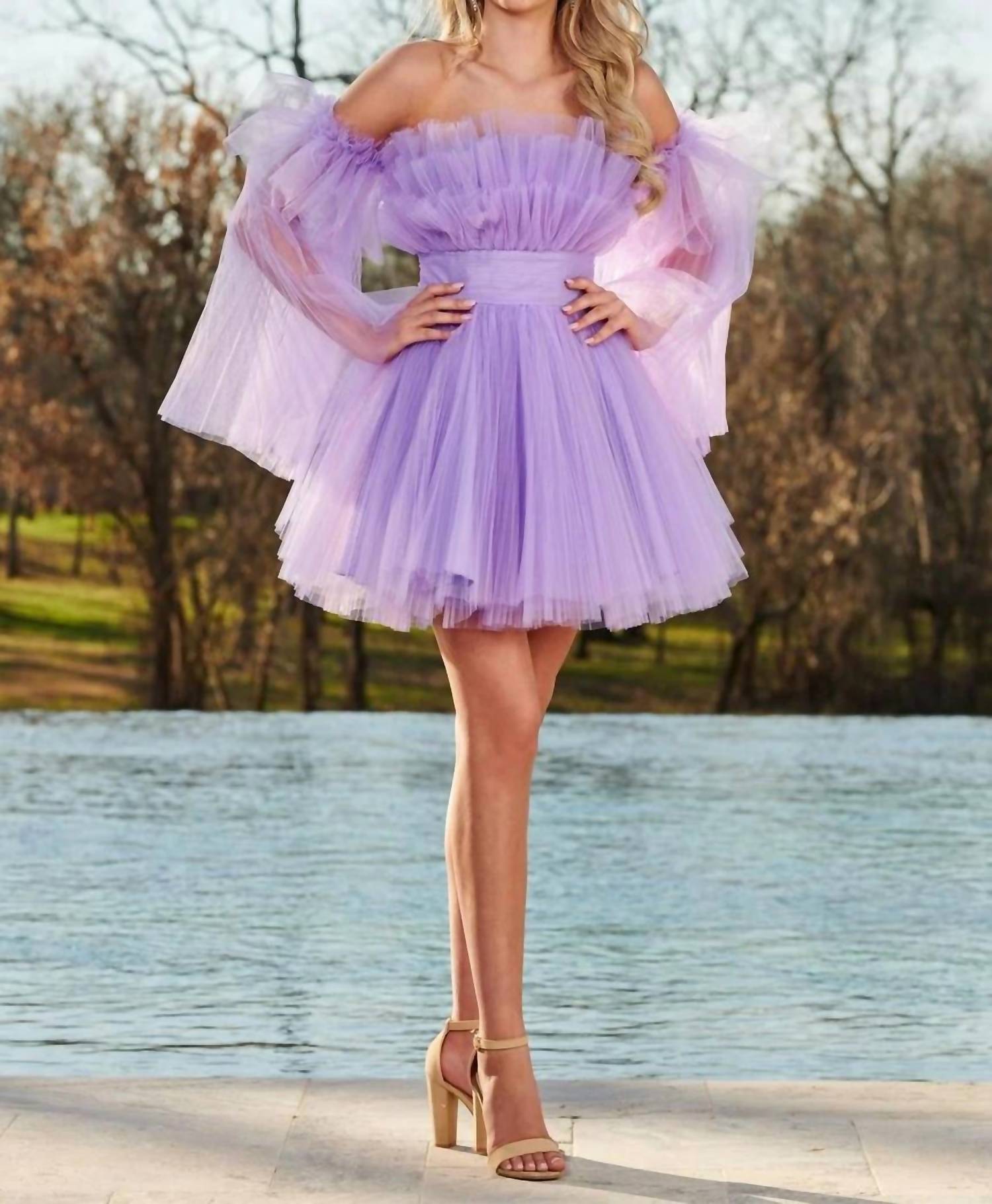 Rachel Allan - Fit And Flared Tulle Dress