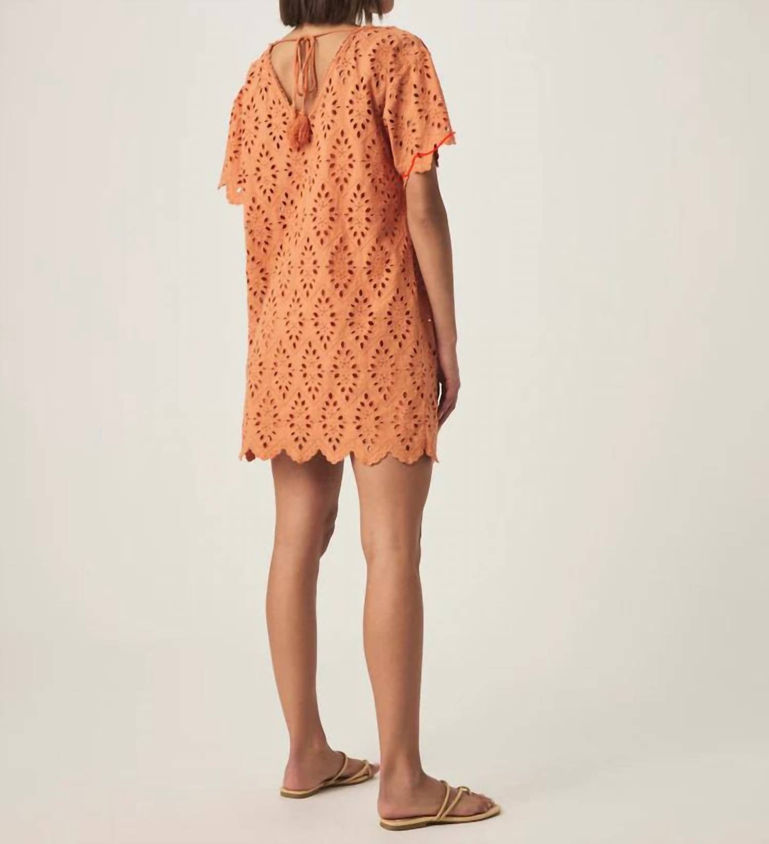 Splendid - Sandro Eyelet Dress