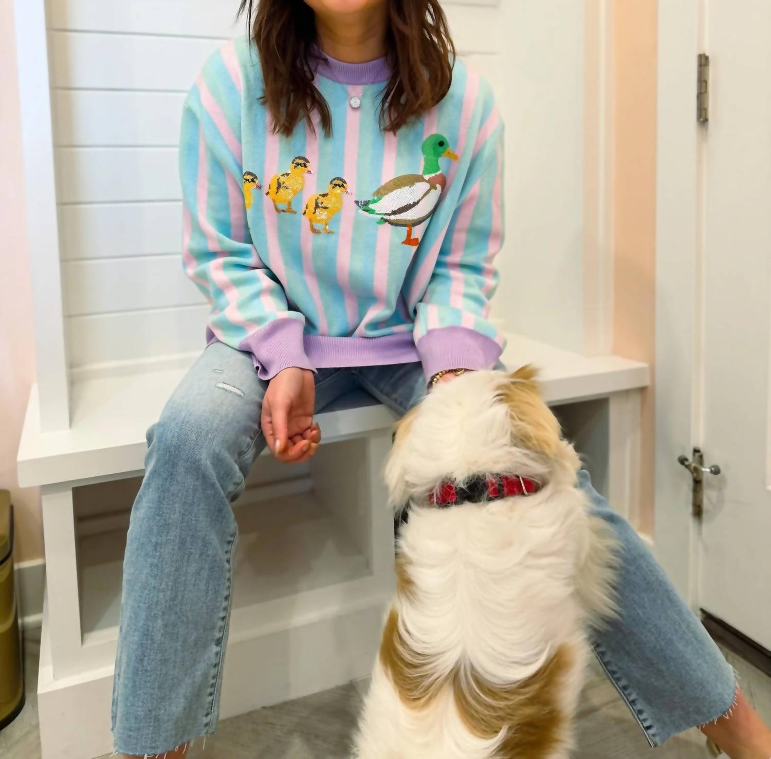Queen Of Sparkles - Pastel Striped Duck & Chicks Sweater