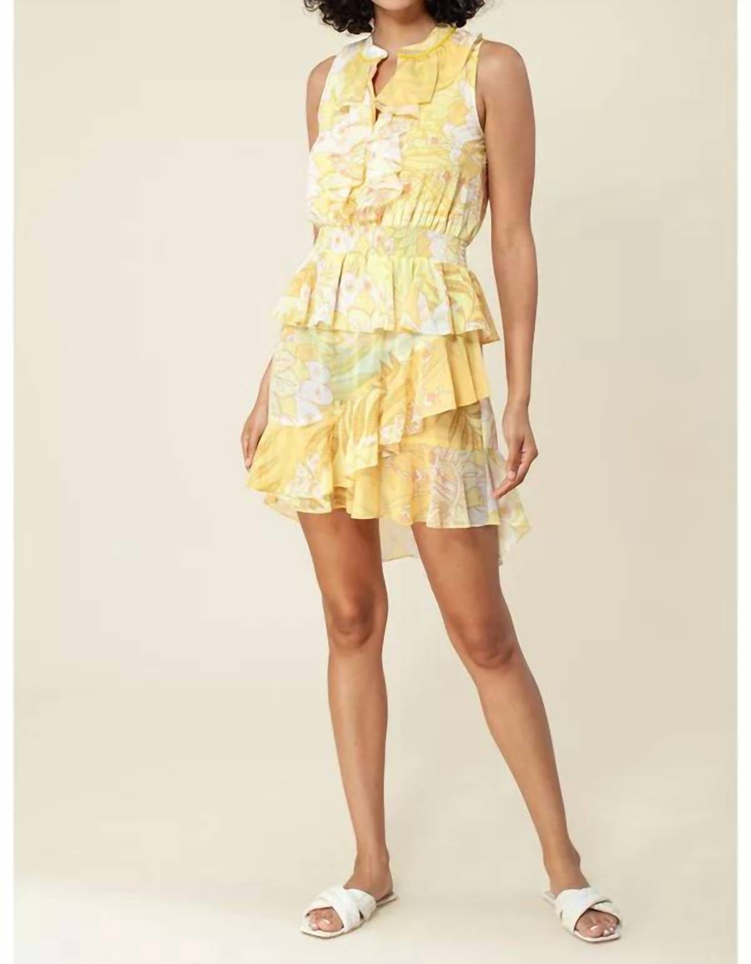 Hale Bob - Roux Dress