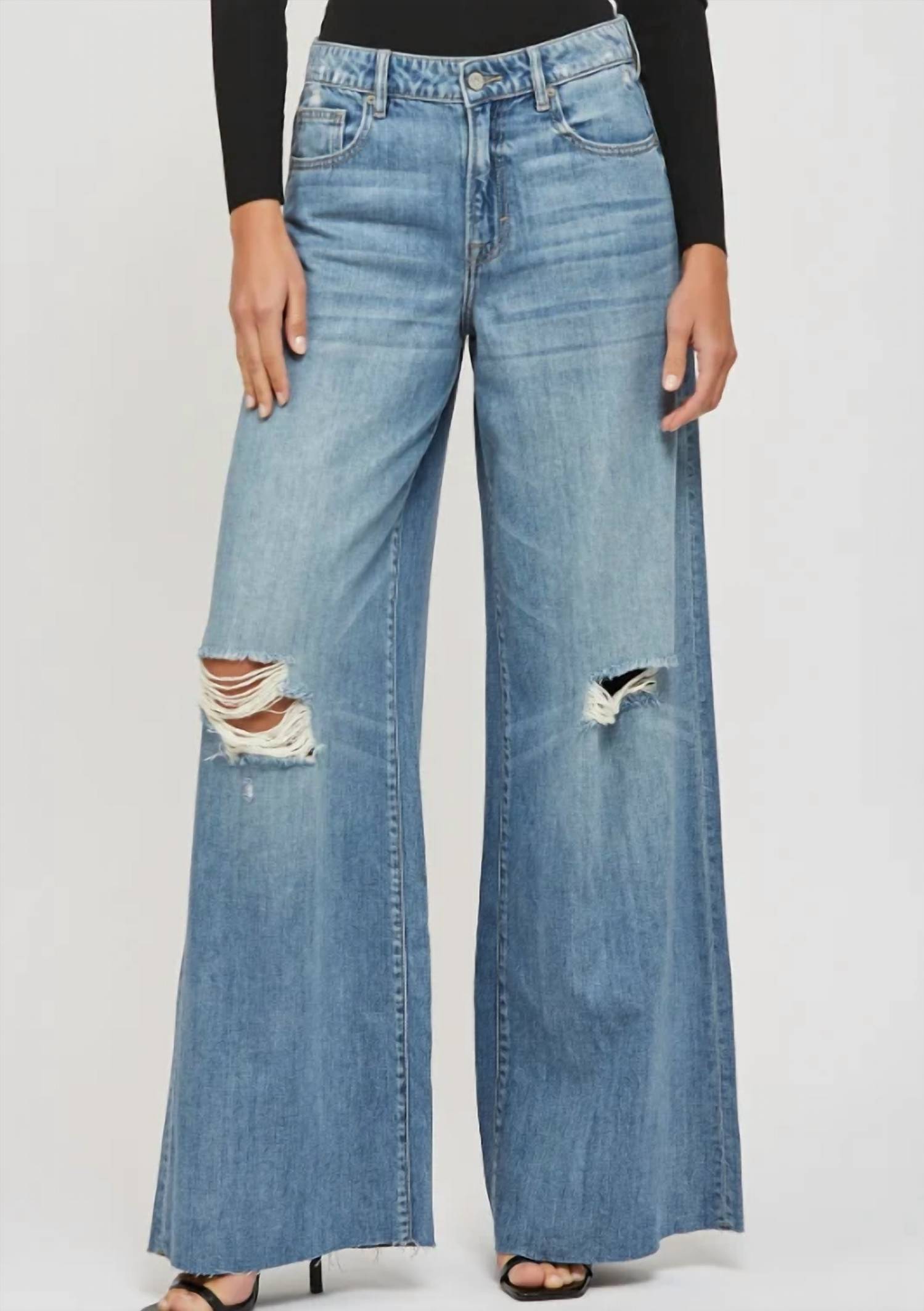 Hidden - Nori High Rise Oversized Wide Leg Jeans
