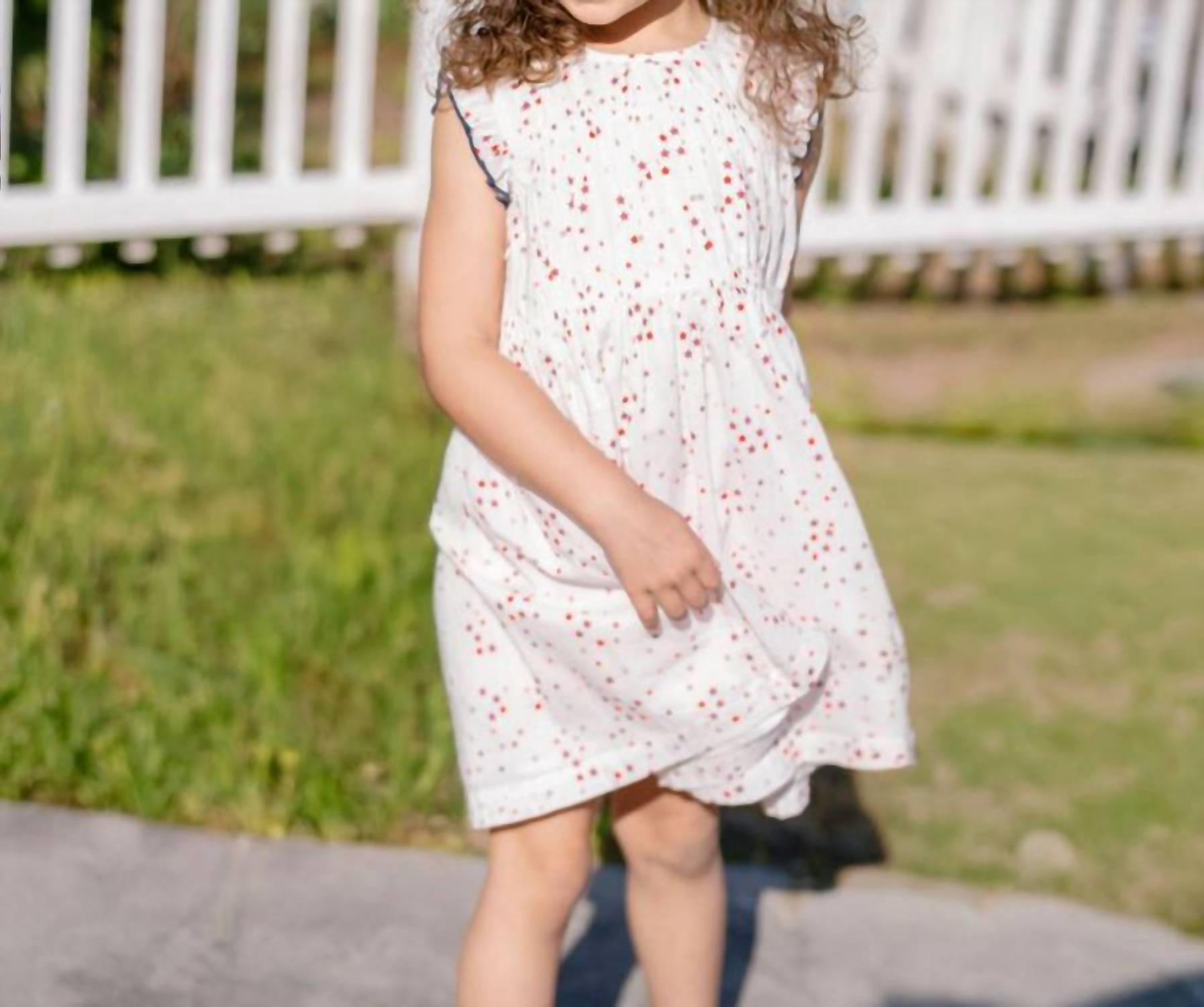 Pink Chicken - Waverly Ruffle Sleeve Dress