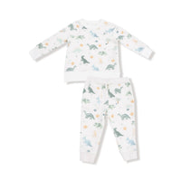 ANGEL DEAR Boy's Soft Dinos French Terry Raglan Set in multi - item