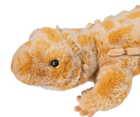 Douglas - Boogie Soft Bearded Dragon