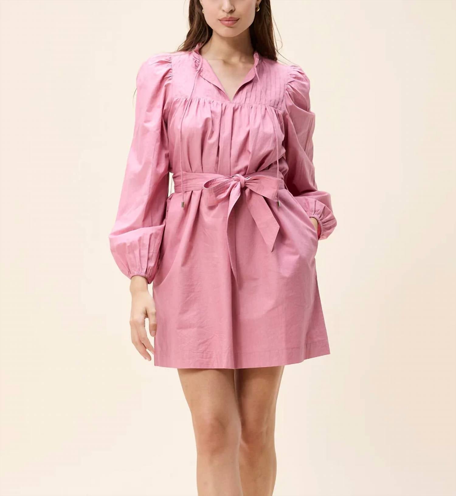Cleobella Women's Ivana Mini Dress in mesa rose - women's dress