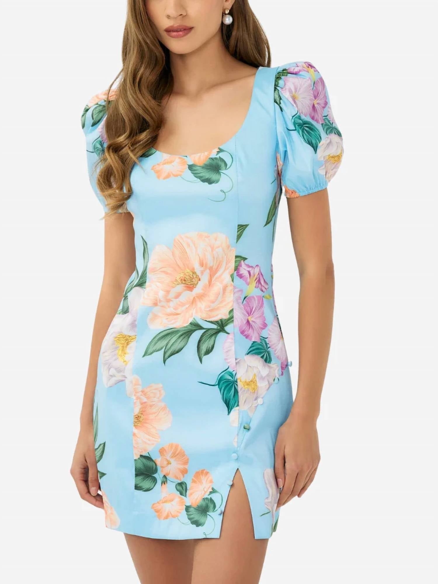 Hutch - Evera Mini Dress