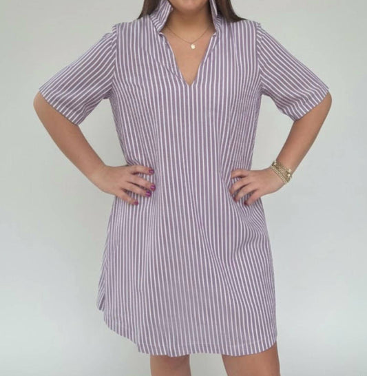Adrienne - Ruffle Collar A line Dress Purple Stripe