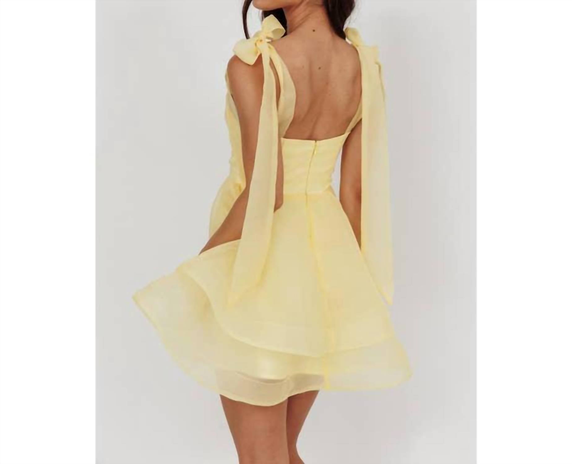 One And Only Collective - Sqaure Neck Organza Mini Dress