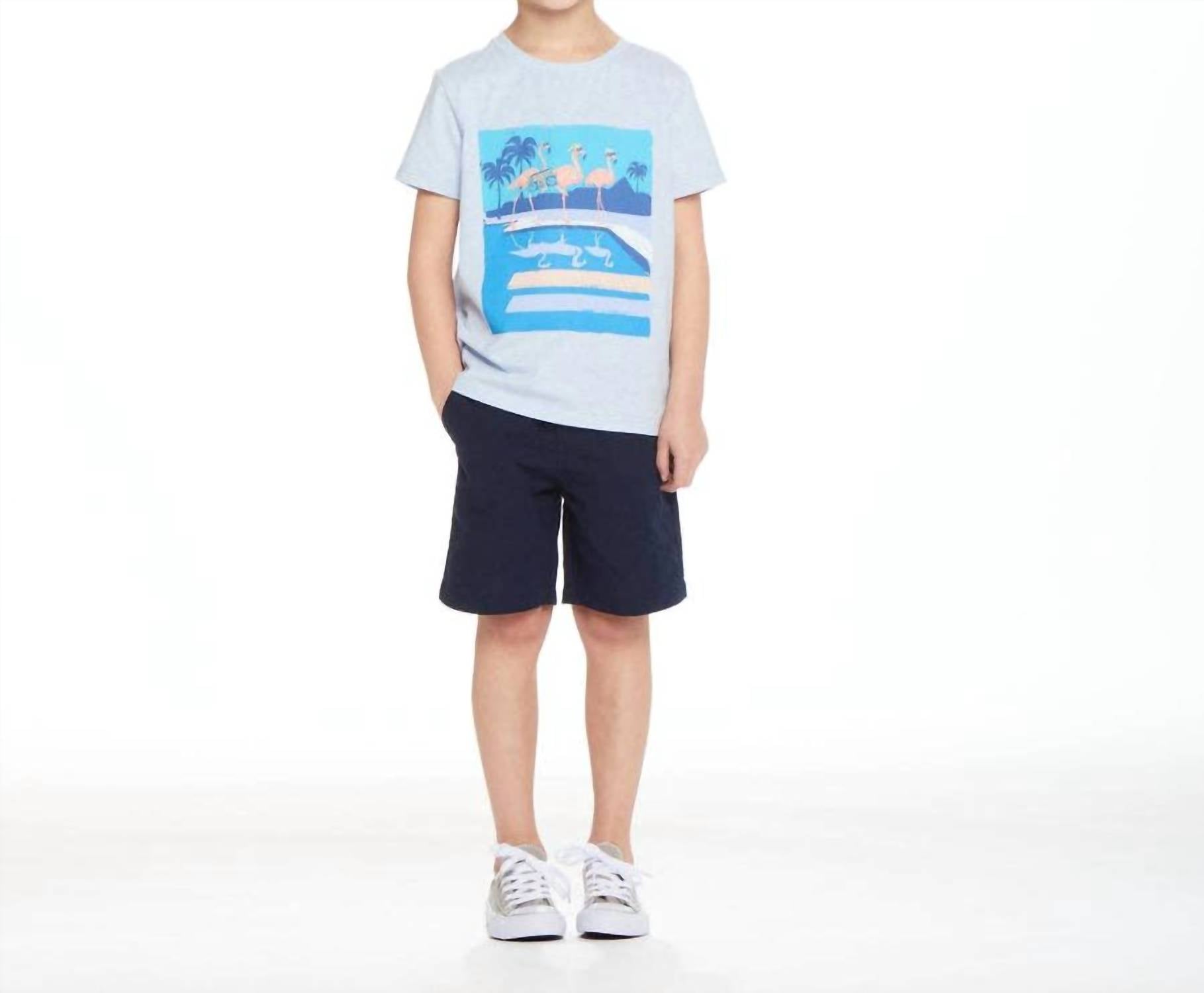 Andy & Evan Kids Party Flamingo Graphic Tee & Short Set in blue - item
