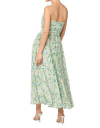 Astr - Bayley Maxi Dress
