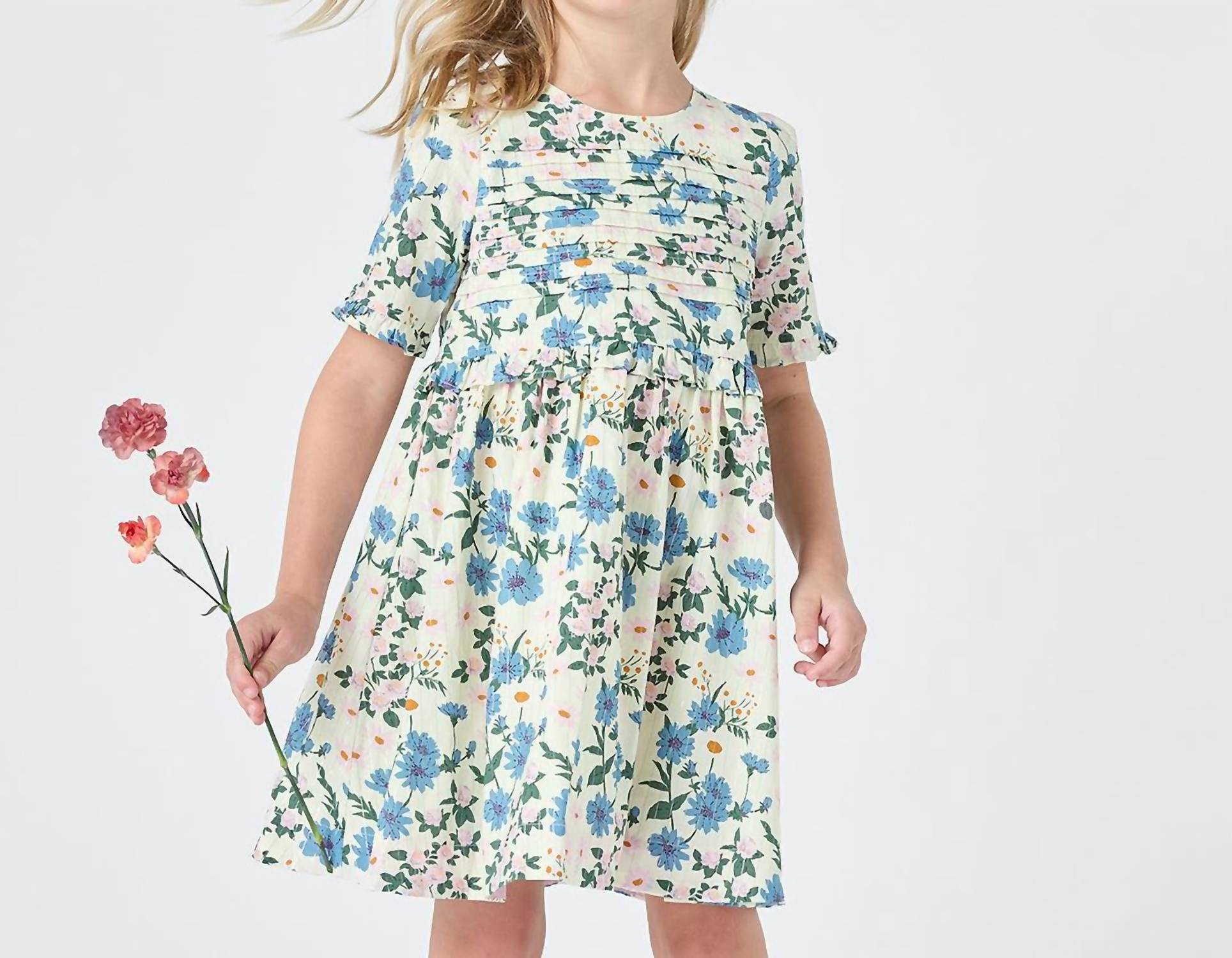 Pink Chicken - Raquel Mini Dress