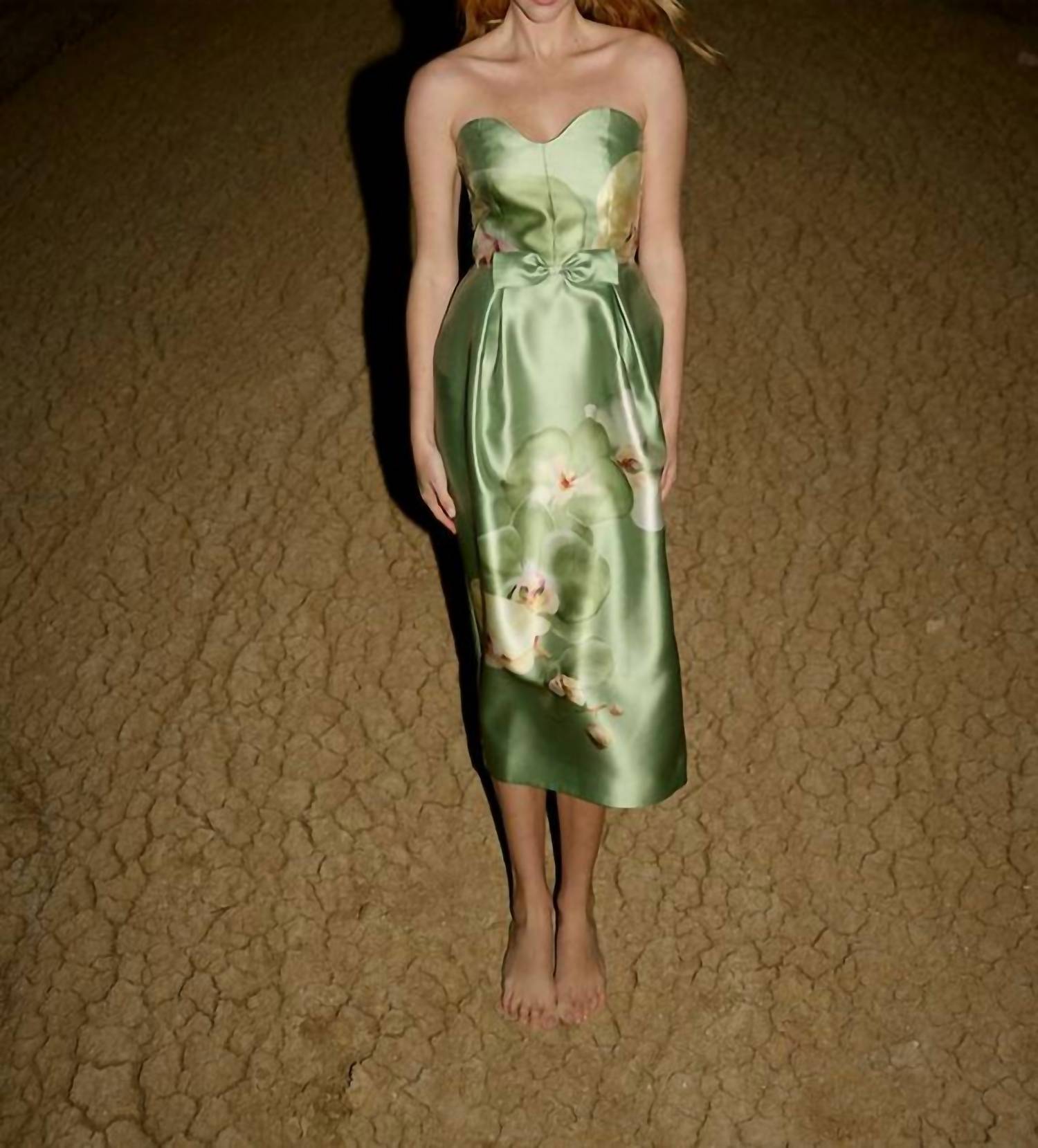 Aston Studio Sophia Strapless Column Gown in meadow phalae - women's dress