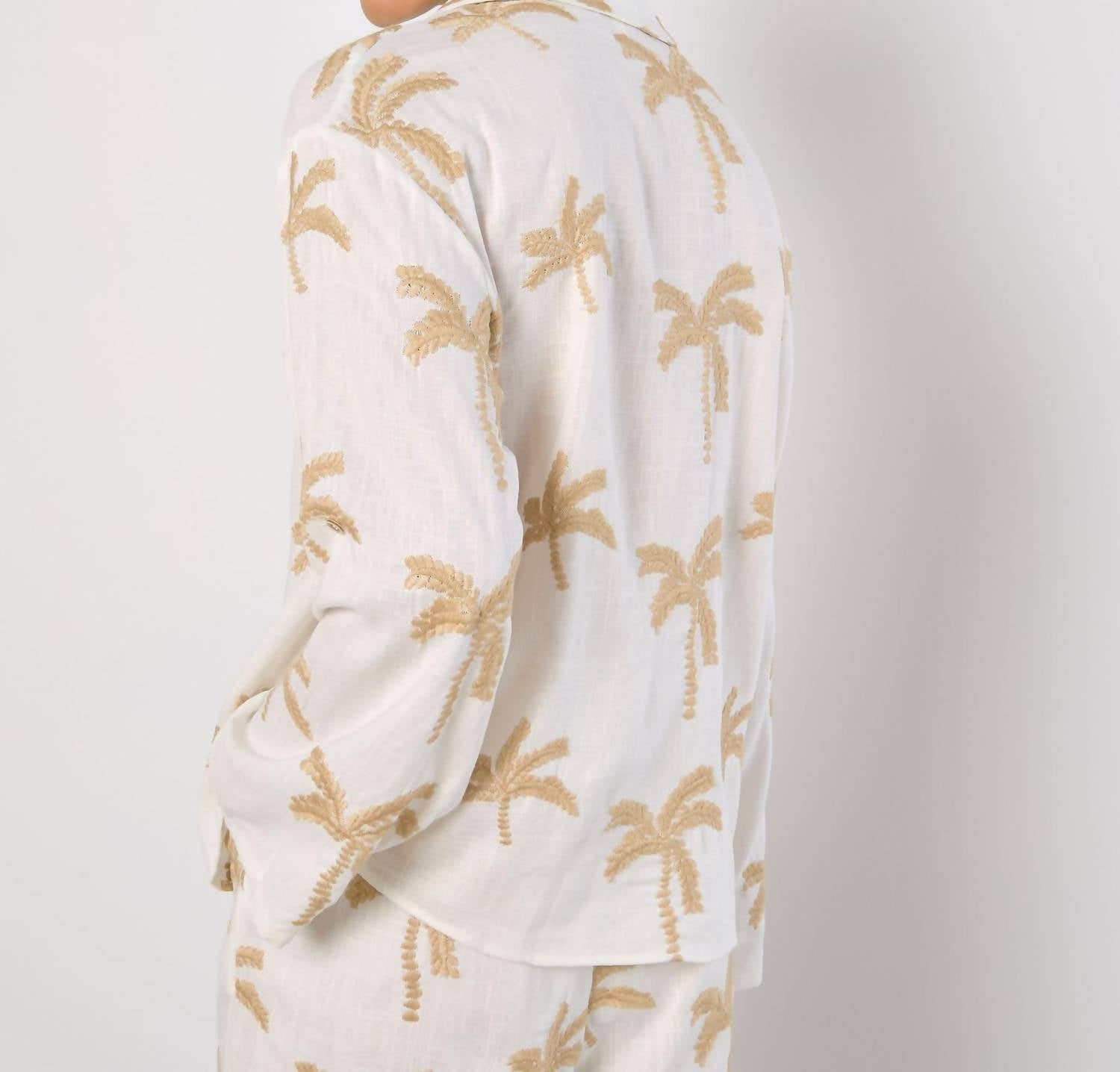Apricot - Palm Tree Top
