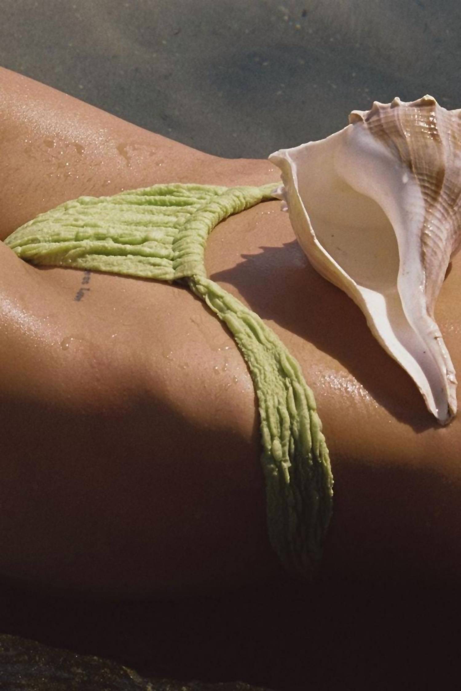 Montce - Women's Sandra Bikini Bottom