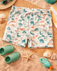 Emerson And Friends - Explore Florida Boys Swim Trunks