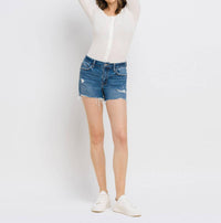 Vervet By Flying Monkey - High Rise Distressed Shorts