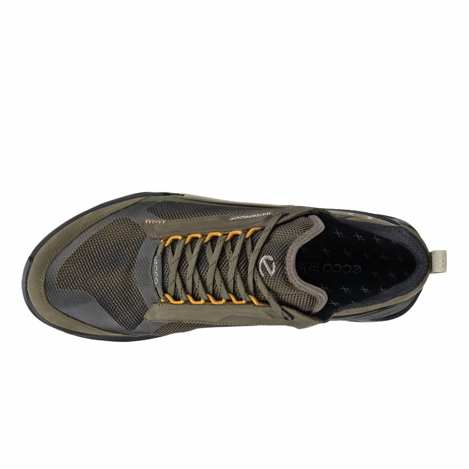 Ecco - Men's Biom 2.1 X Mountain Low Hiking Shoes