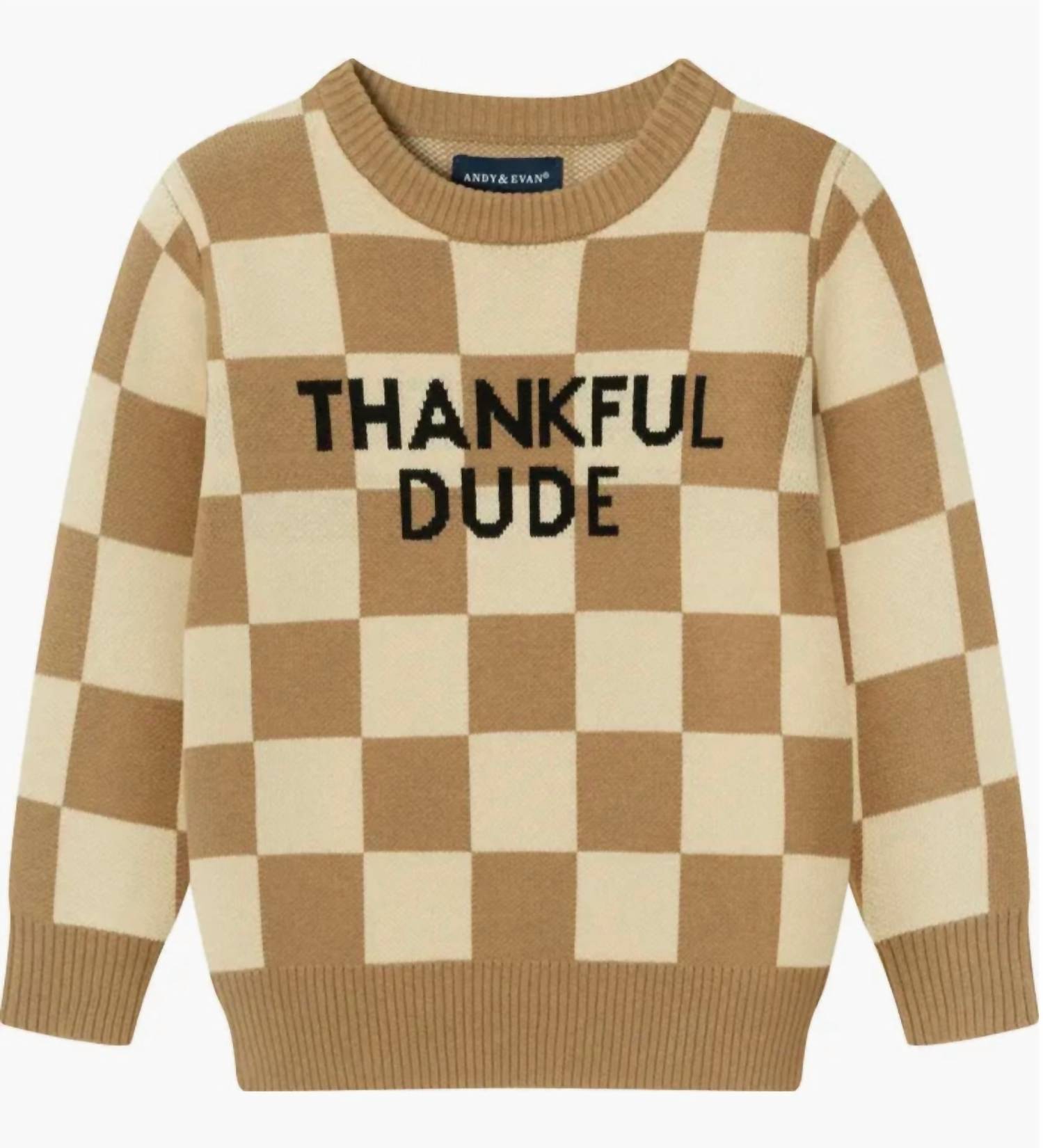 Andy & Evan - Thankful Dude Sweater