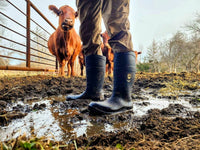 Red Wing Shoes - Men's Irish setter ironton 17" pull-on boot