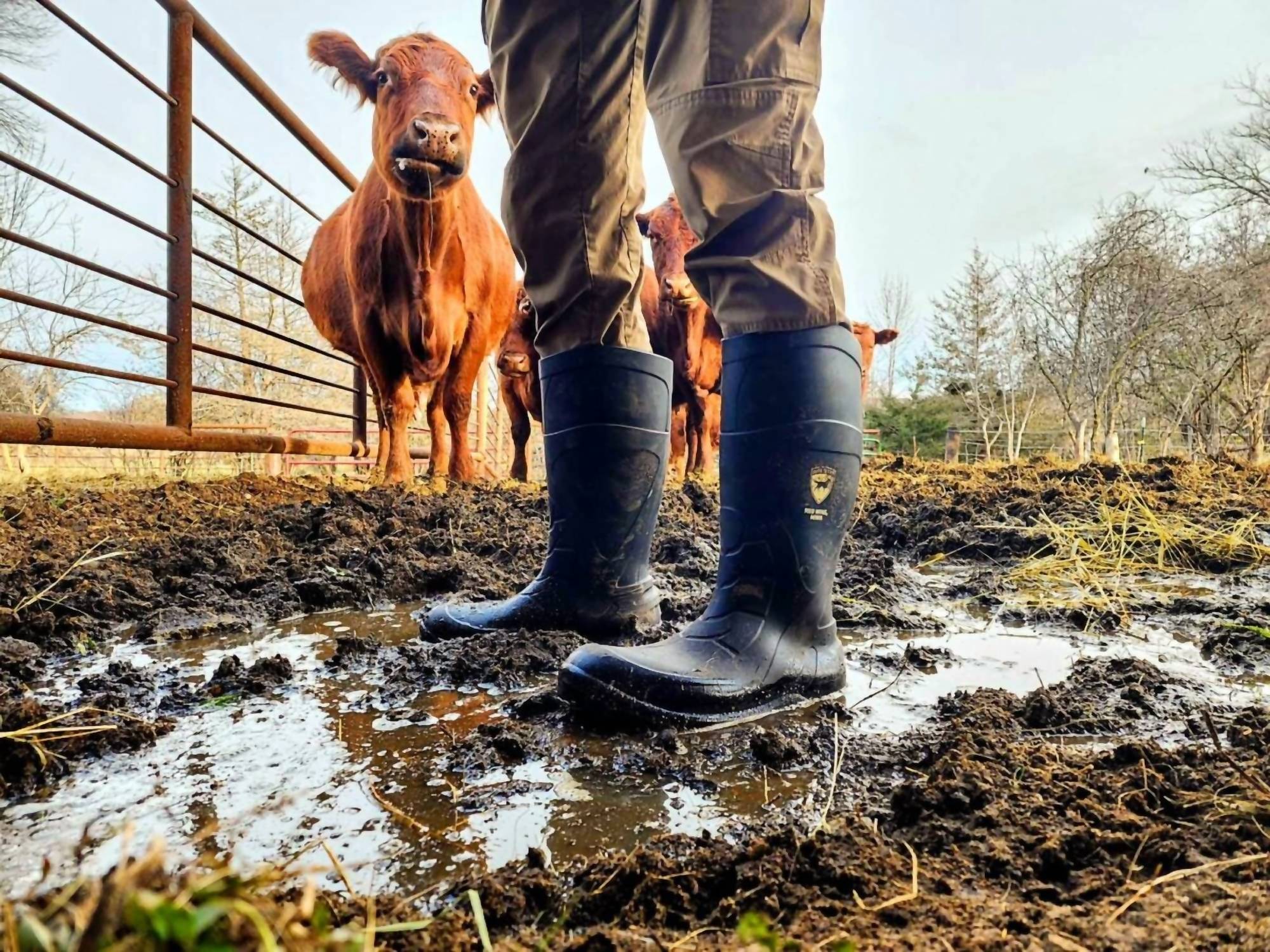 Red Wing Shoes - Men's Irish setter ironton 17" pull-on boot