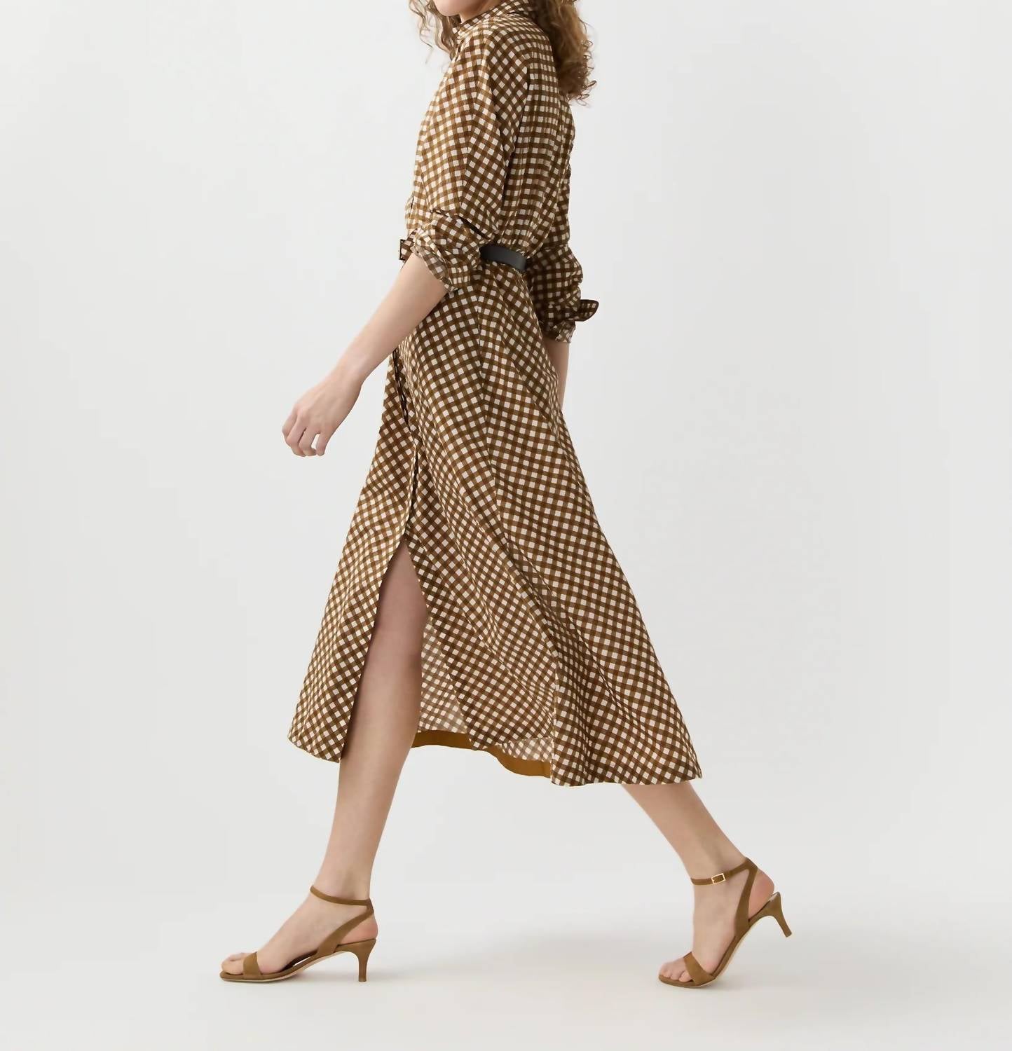 Ann Mashburn - Charlie Shirtwaist Dress