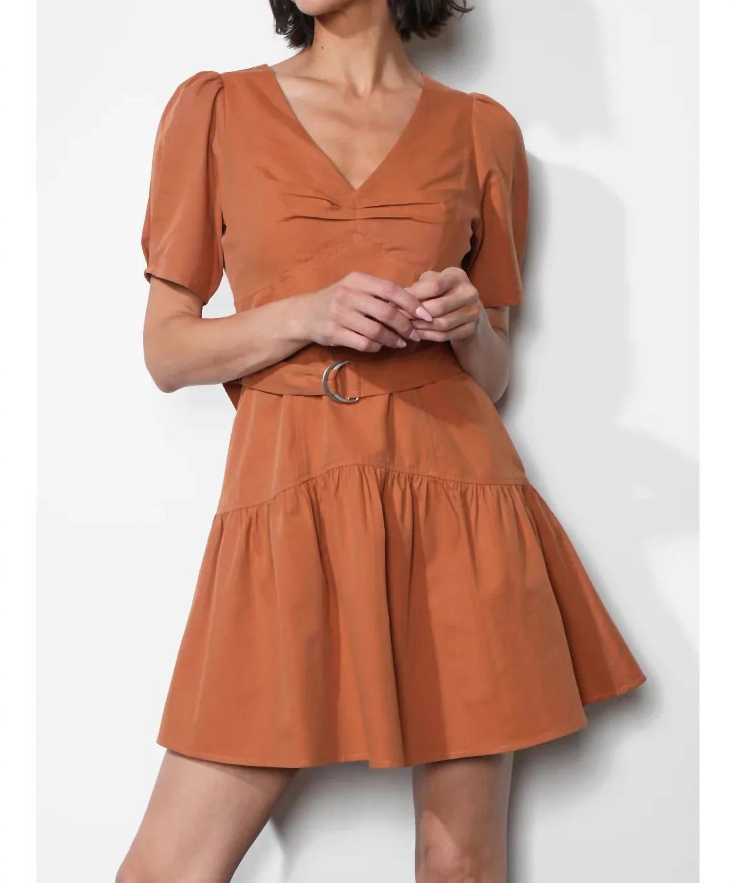 Greylin - Hayden Puff Sleeve Belted Flare Dress