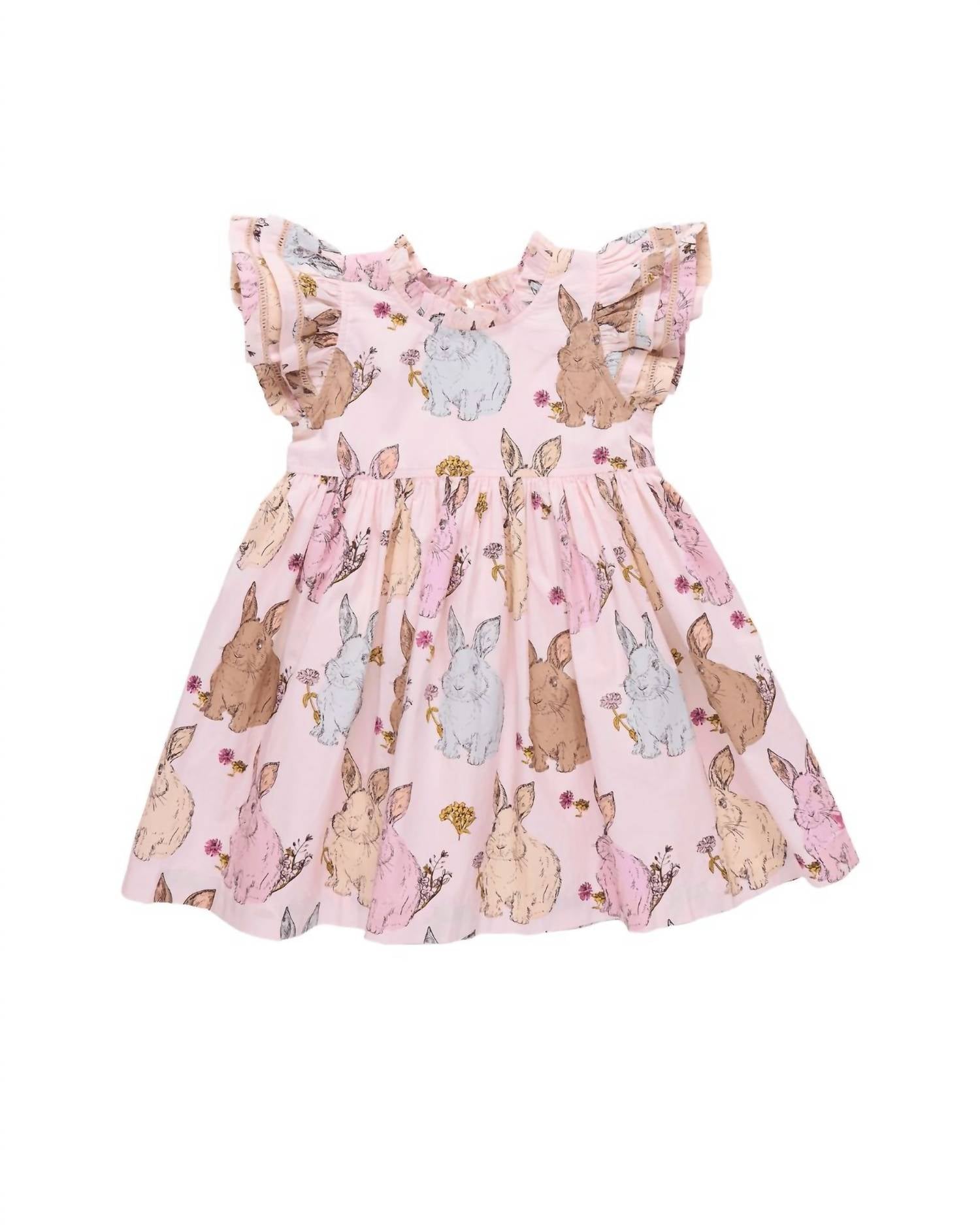 Pink Chicken - Baby Girls Stevie Dress