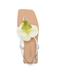 Silent D - Women's Emlyn Flats Sandals