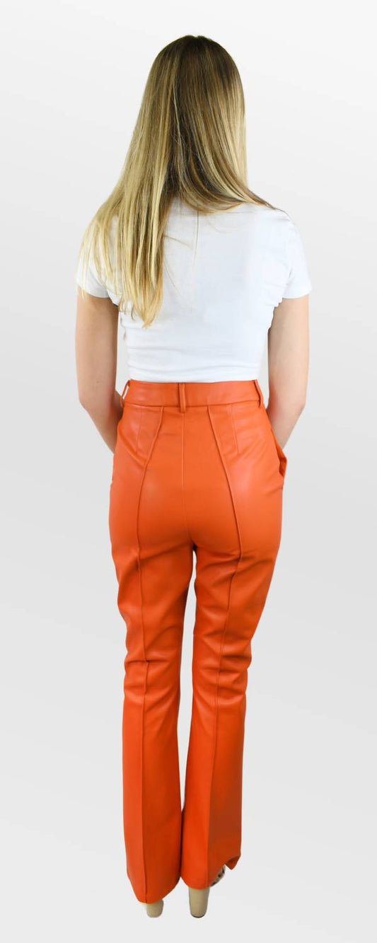 Amylynn - Faux Leather Pants