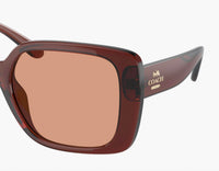 Coach - Women's Sunglasses Transparent Lens