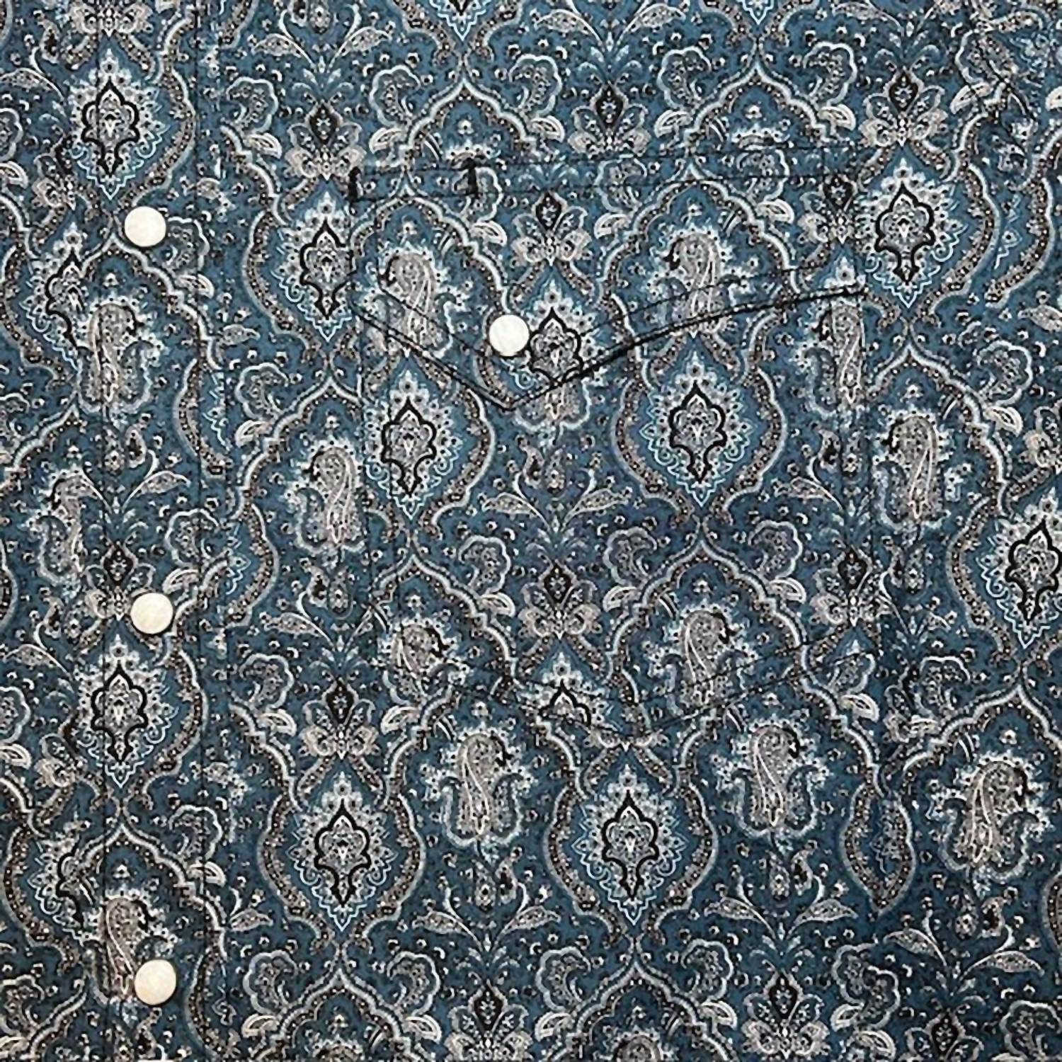Legend Or Lies - Men's Earp Snap Western Paisley Shirt