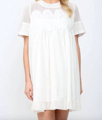 Fate - Mesh Mini Dress