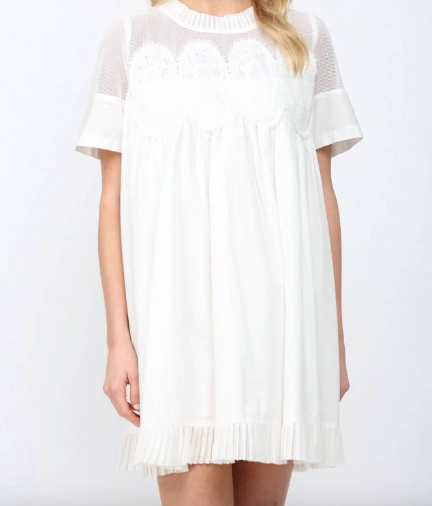 Fate - Mesh Mini Dress