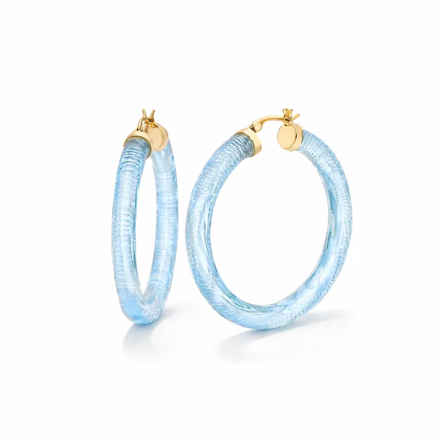 Gold & Honey - Women's Instyle Lucite Hoop Earrings