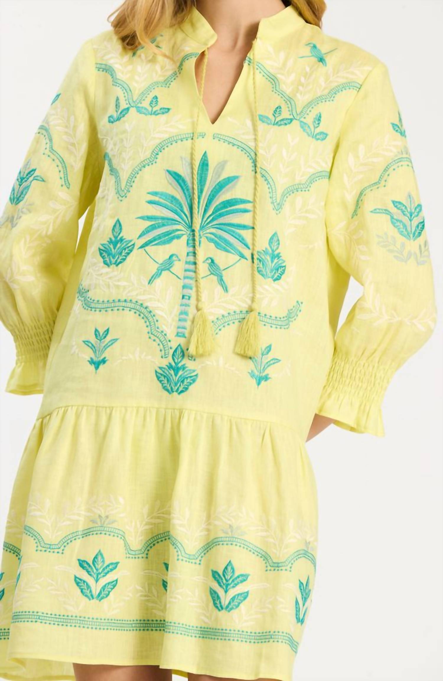 Tyler Boe - Nikki Embroidered Dress