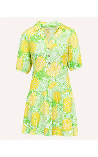 Lilly Pulitzer - Bingley Dress
