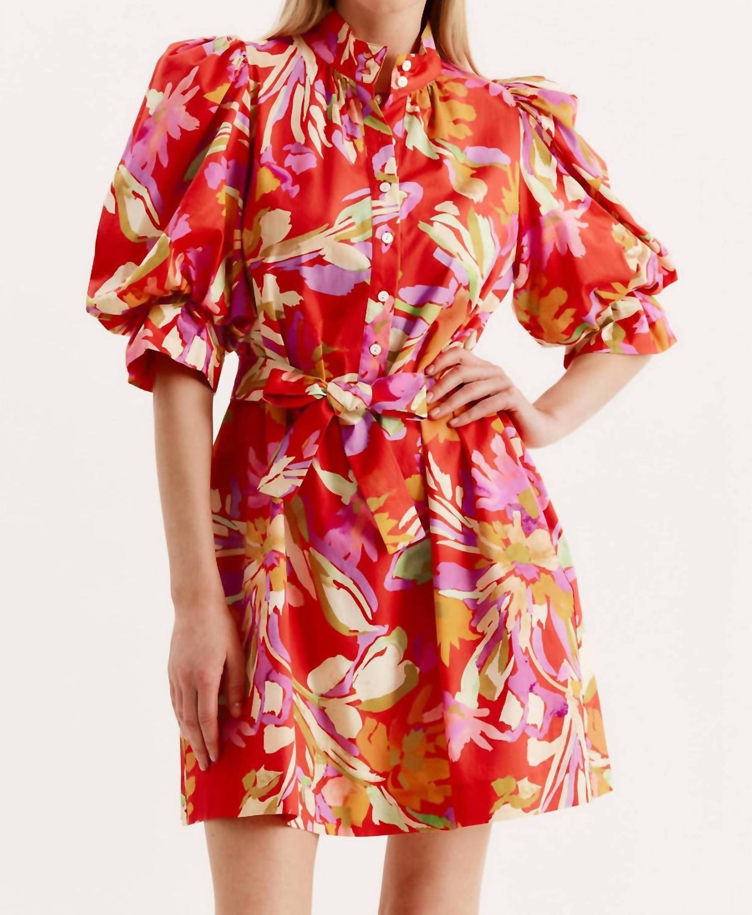 Tyler Boe - Lydia Floral Dress