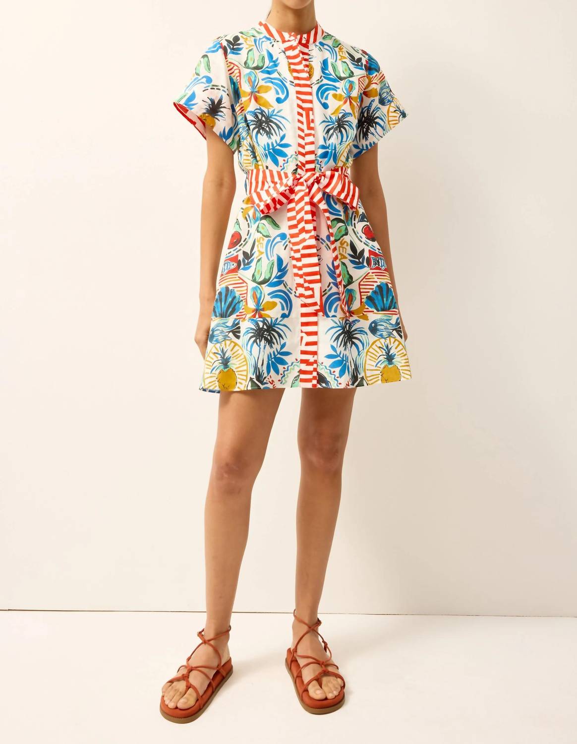 Marie Oliver - Sable Mini Dress