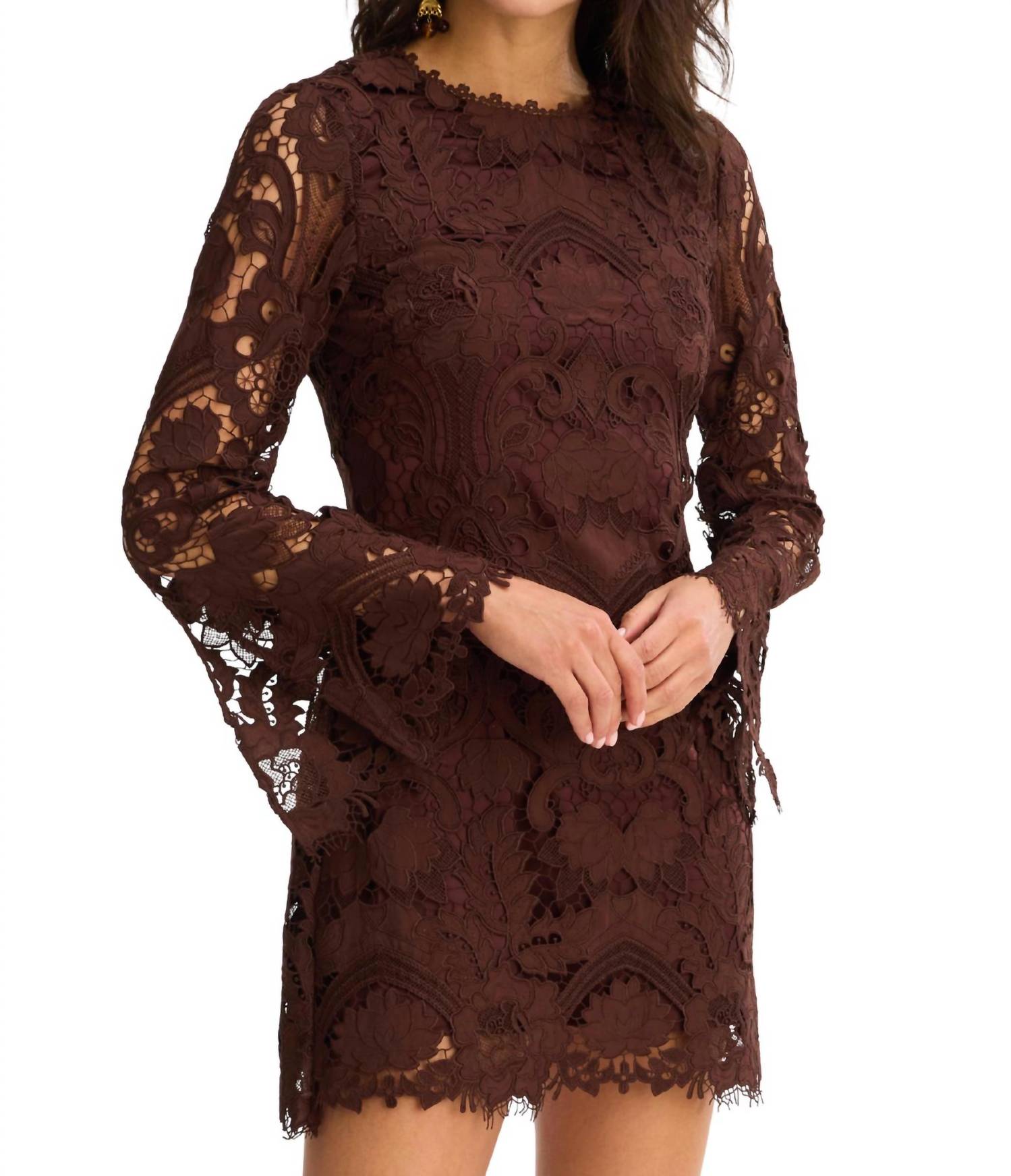 ALLISON NEW YORK Daisey Dress in chocolate brown - women's dress