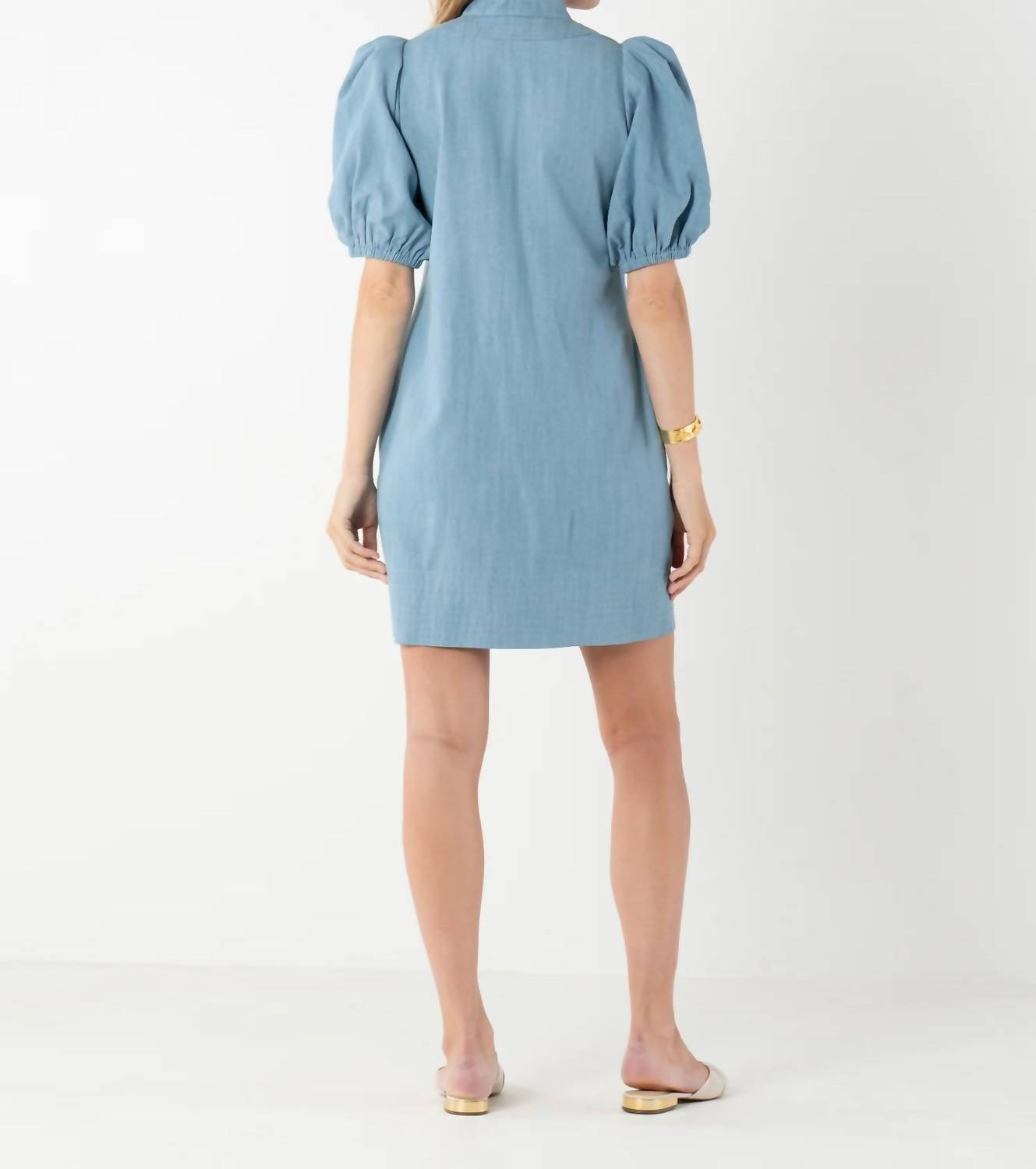 Emily McCarthy Hampton Mini Dress in denim chambray 1 - women's dress - detail view