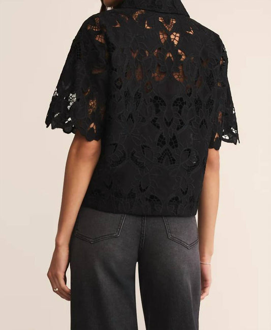 Z Supply - Midnight Lace Top