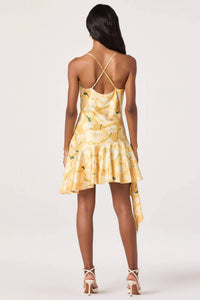 Astr - Paloma Mini Dress