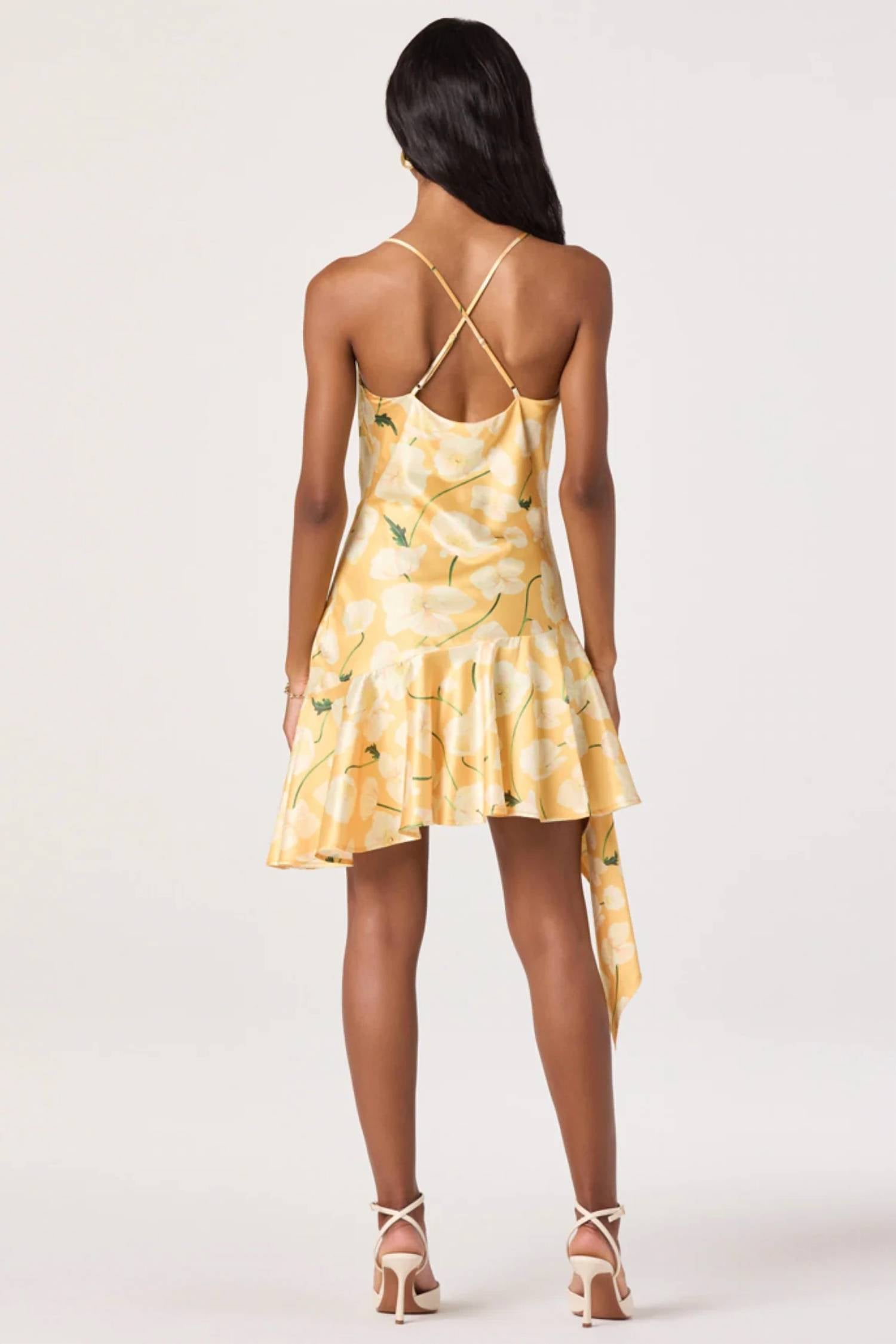 Astr - Paloma Mini Dress
