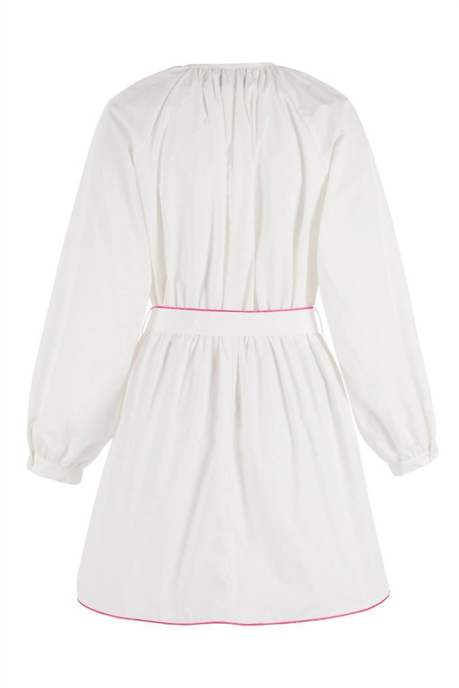 The Shirt - Taryn Mini Dress