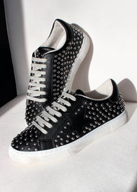 STEVE MADDEN Women's Studded Laceup Sneaker in black - women's sneaker
