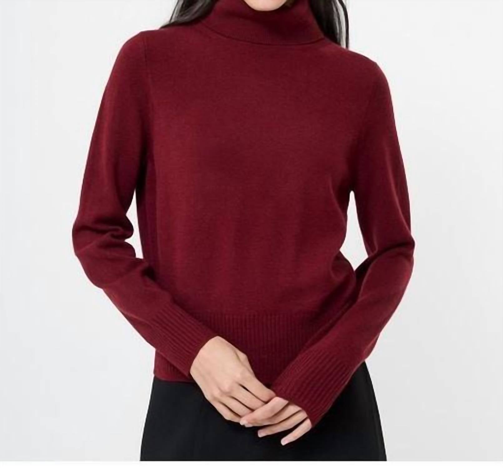 French Connection - Cosysoft Turtleneck Sweater